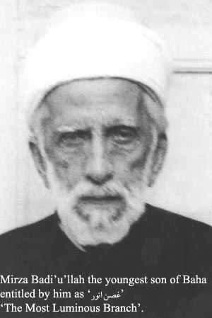 Badiullah entitled The Most Luminous Branch (غصن انور)  Baha's youngest son